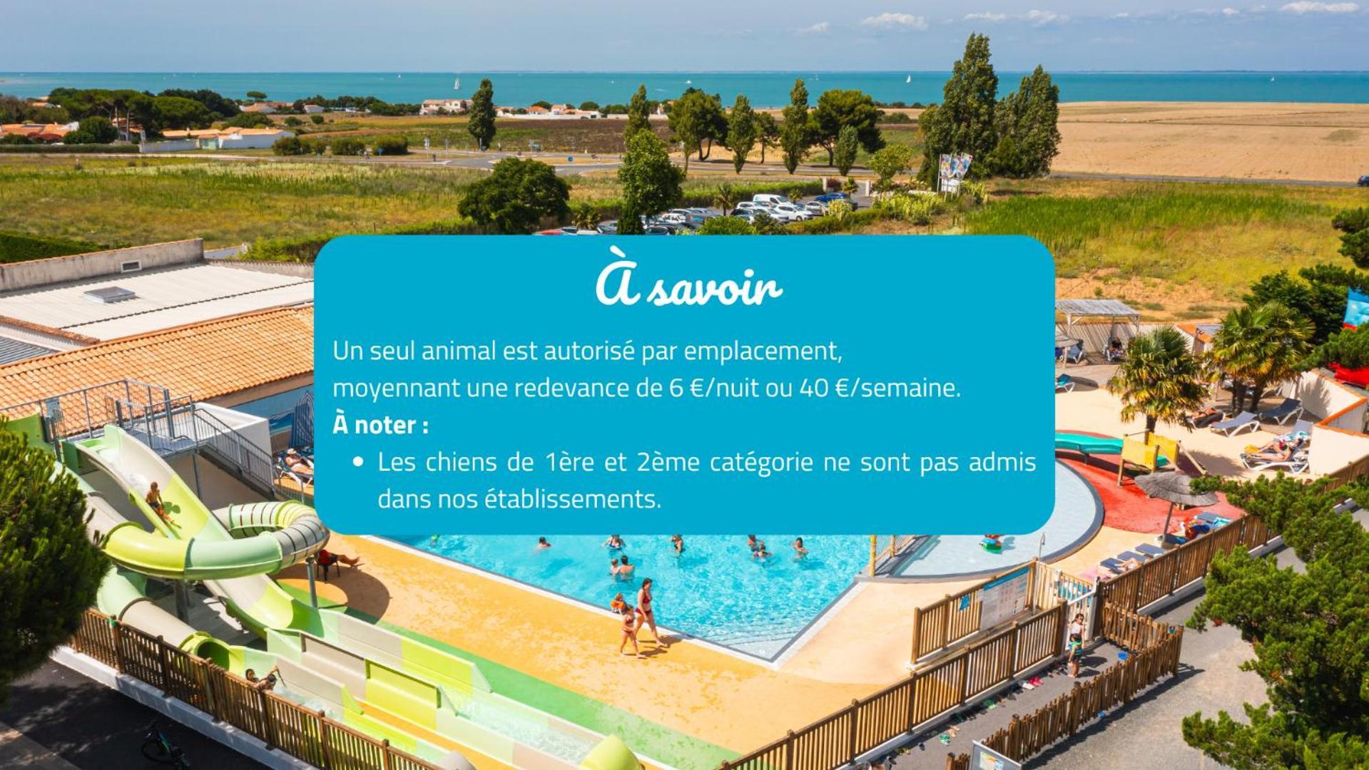 Camping Les Peupliers La Flotte Εξωτερικό φωτογραφία